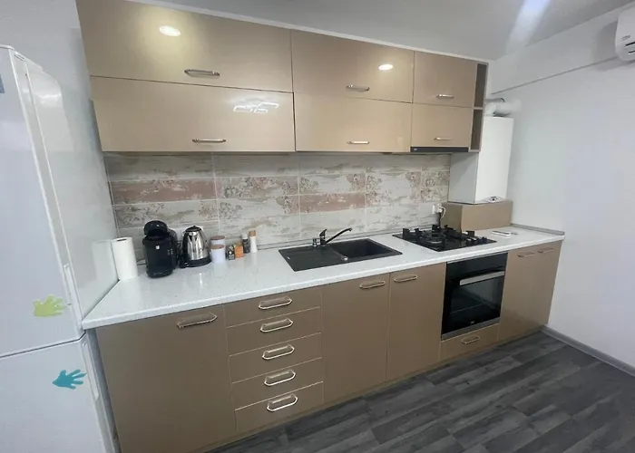 Arkadia 2 Bedroom 公寓 布加勒斯特